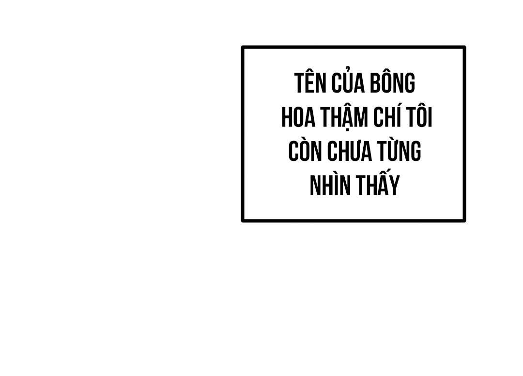 đáy sâu tuyệt vọng Chapter 83 - Next 