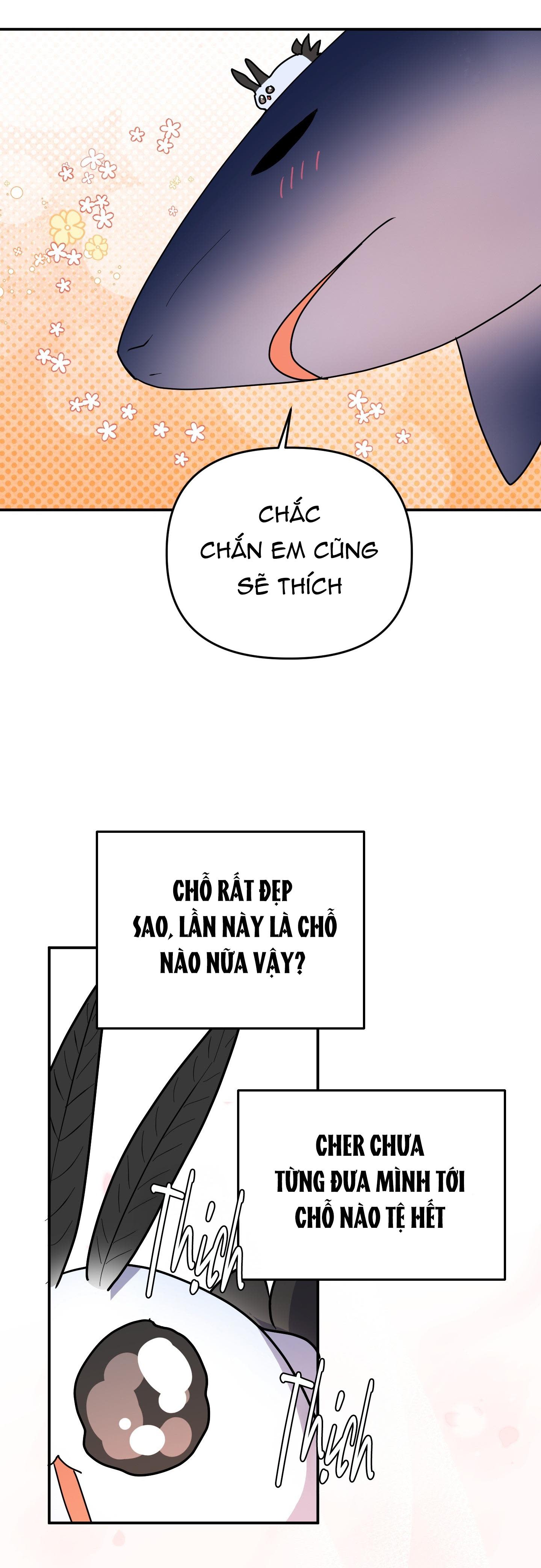 cá mập và cô dâu thỏ Chapter 53 - Next 