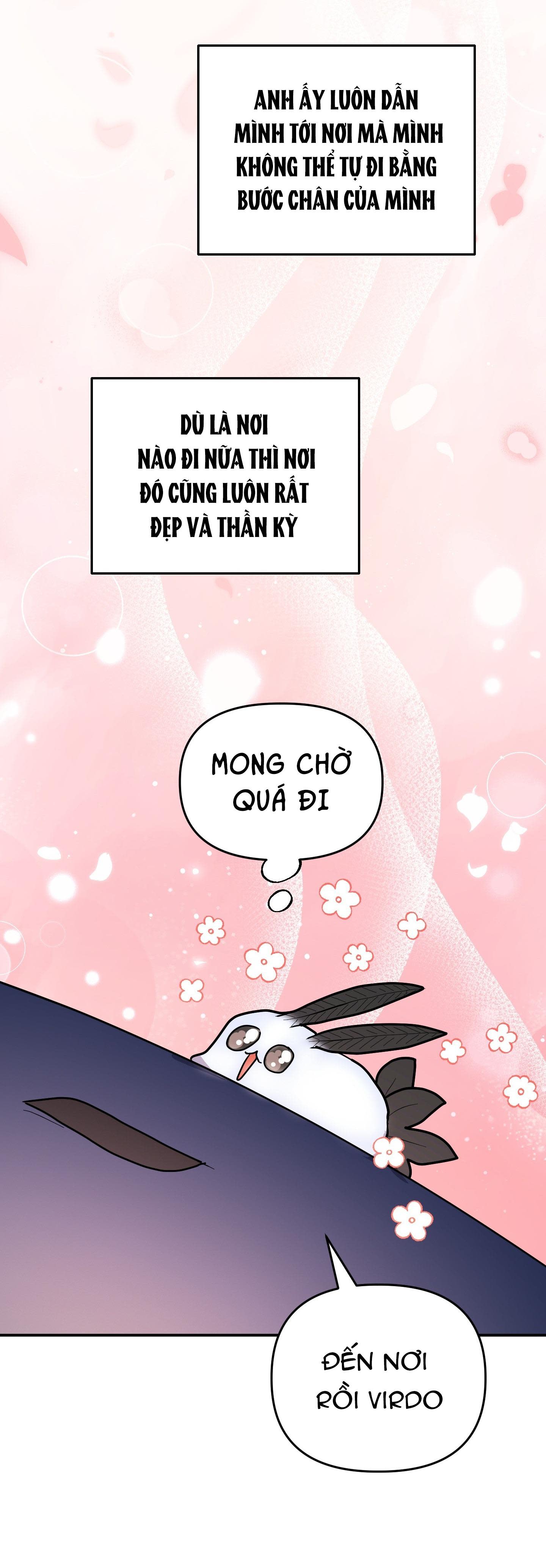 cá mập và cô dâu thỏ Chapter 53 - Next 