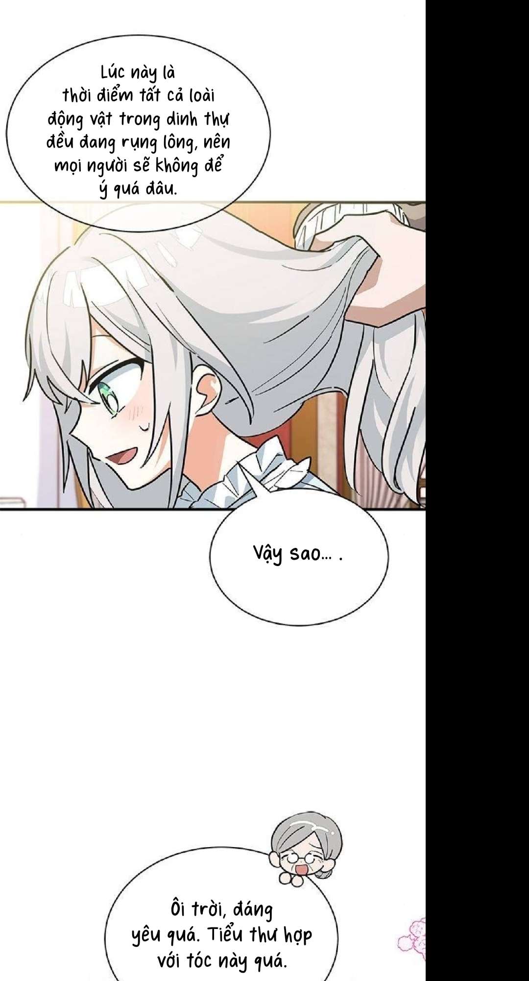 mèo con được gia tộc sói nhận nuôi? Chap 26 - Next Chap 27